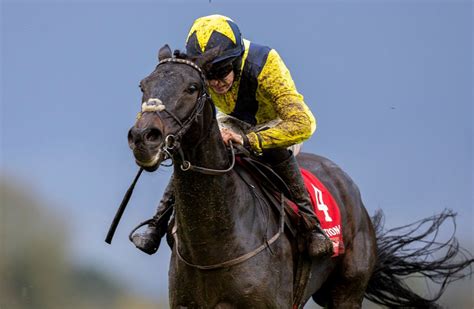 tote ten to follow jumps 2023/24|'He looks a terrific chasing prospect' .